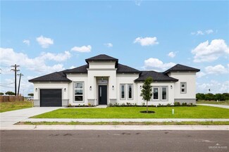 1425 W Dawes Ave, Alton, TX 78573