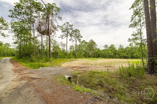 0 Zettler Rd, Springfield, GA 31329