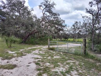 6776 W Chablis Ln, Homosassa, FL 34448