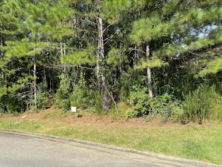 168 Grassy Creek Ln, Aiken, SC 29803