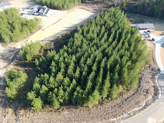 903 Old Glory Ln, Brandon, MS 39047