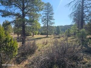 3326 Black Canyon Rd, Heber-Overgaard, AZ 85928