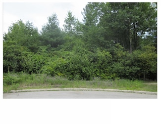 6210 Evergreen Ct, Midland, MI 48642