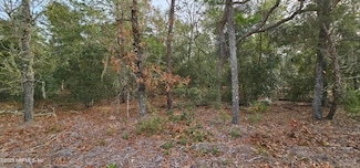 5396 Jenkins Loop Dr, Keystone Heights, FL 32656