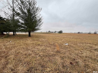 Lot 1&2 Raleigh Rd, Eldorado, IL 62930