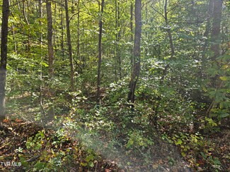 000 Cave Springs Rd, Rogersville, TN 37857
