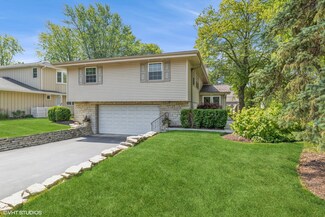 1121 Birch Ln, Western Springs, IL 60558