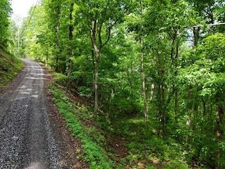 14B&14C Rainbow Ridge Rd, Hiawassee, GA 30546