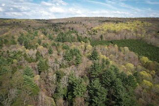 0 W Creek Rd Unit LotWP001 17359215, Richford, NY 13835