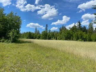 0 Drier Rd, Levering, MI 49755