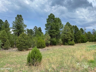 2026 State Route 277 -- Unit C, Overgaard, AZ 85933