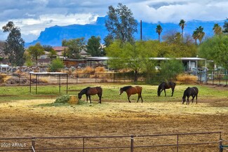 836 W Lenora Way, Queen Creek, AZ 85140