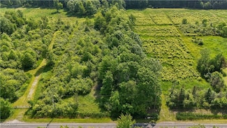 0 Brakeman Rd Unit 5128849, Leroy, OH 44077