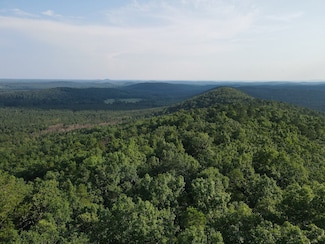 0 Bluff Springs Rd Unit 23949687, Ashland, AL 36251