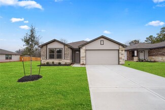 11729 Whirlaway Dr, Willis, TX 77318
