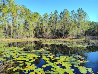 0 Smith St, Astor, FL 32102