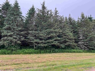 Lot 7 Sue Alan Dr, Wittenberg, WI 54499