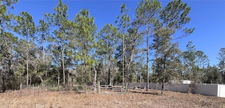 0 NE 3rd Place, Williston, FL 32696