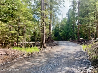 L3 Spruce Grove, Coffman Cove, AK 99918