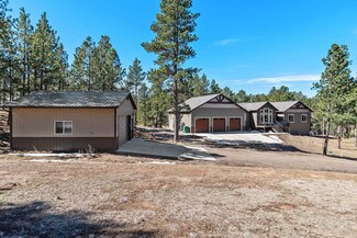 13531 Frontier Loop Unit TW 47, Piedmont, SD 57769