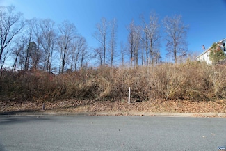 TBD Barnsdale Rd, Piney Mountain, VA 22911