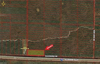 0 Blackburn Rd Unit 222027287, Naples, FL 34117