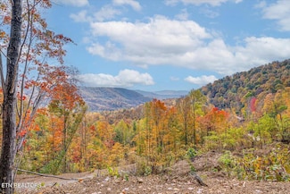 00 Buffalo Rd, Oneida, TN 37841