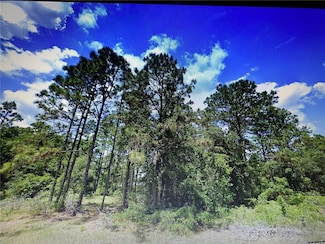 0 SW 135th Loop, Marion Oaks, FL 34473