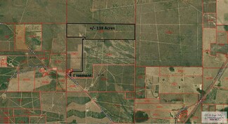 137.91 AC N Alaniz Aka Road 530, La Gloria, TX 78590