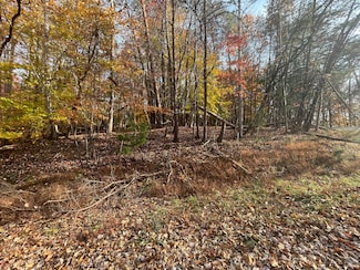 485 Stripers Ln, Moneta, VA 24121