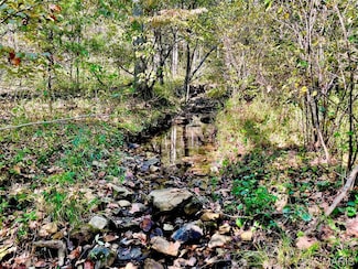 9641 Crane Dr, Bucyrus, MO 65444