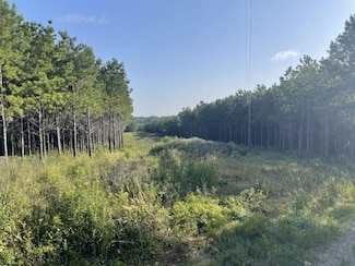 0 County Road 1060, Center, TX 75935