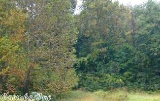 0 289 Hwy Unit 17003635, Saddle, AR 00000