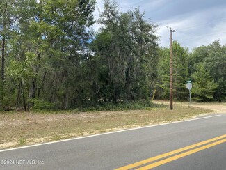 LOT 19 Denise St, Interlachen, FL 32148