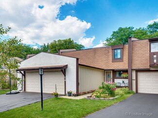14 Sweetwood Ct Unit 3, Indian Head Park, IL 60525