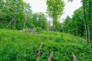 Lot 2A Preedom Hill Rd N, Ludlow, VT 05149