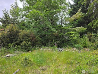 27312 W St, Ocean Park, WA 98640