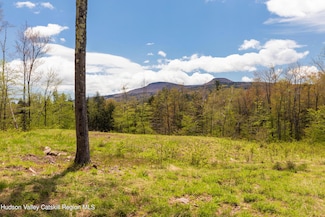 Tbd 2 Legg Rd, Hunter, NY 12442