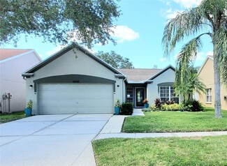 4208 Pine Isle Dr, Lutz, FL 33558