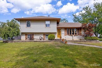 6451 Walter Adamic Ln, Plainfield, IL 60586