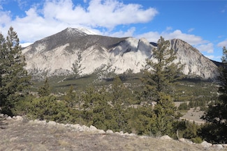 0 Falcon Dr Unit 36 REC3373531, Nathrop, CO 81236