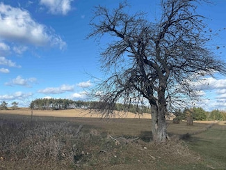 0 31 75 Rd Unit 50318485, Carney, MI 49812