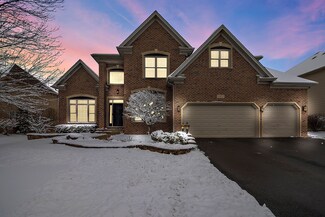 3907 Mistflower Ln, Naperville, IL 60564