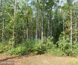 0 Settle School Rd Unit 1003726384, Rixeyville, VA 22737