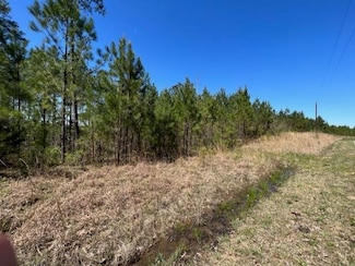 0 - 18 King Rd, Medon, TN 38356