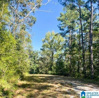0 Central Ave Unit 1 21421430, Montevallo, AL 35115