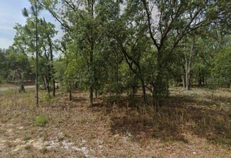 1592 W Swanson Dr, Pine Ridge, FL 34434