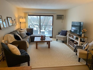 2800 Hillsboro Ave N Unit 316, New Hope, MN 55427