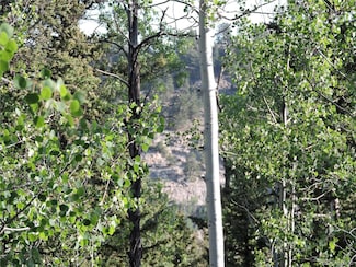 170 Buckskin Ct, Como, CO 80456
