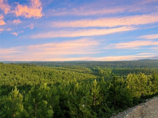 335 Monterey Oak Trail, Broken Bow, OK 74728